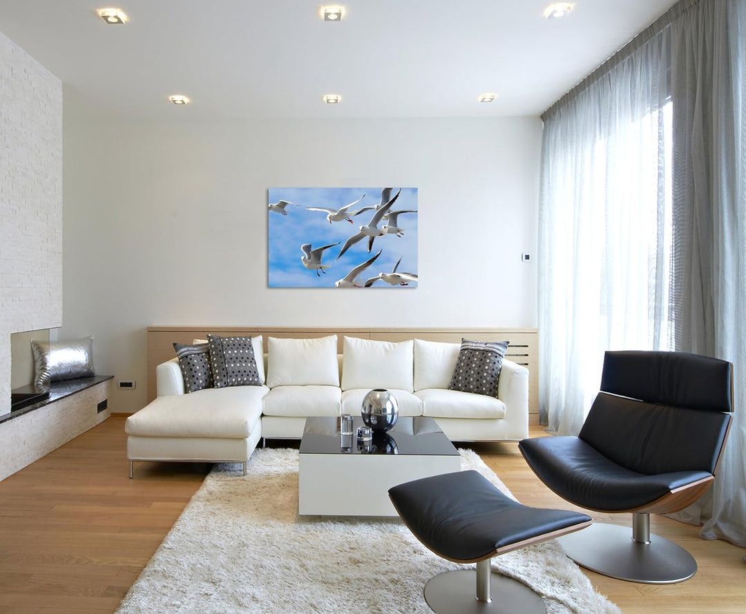 Paul Sinus Art XXL Fotoleinwand 120x80cm Tierfotografie – Möwen in der Luft auf Leinwand Exklusives