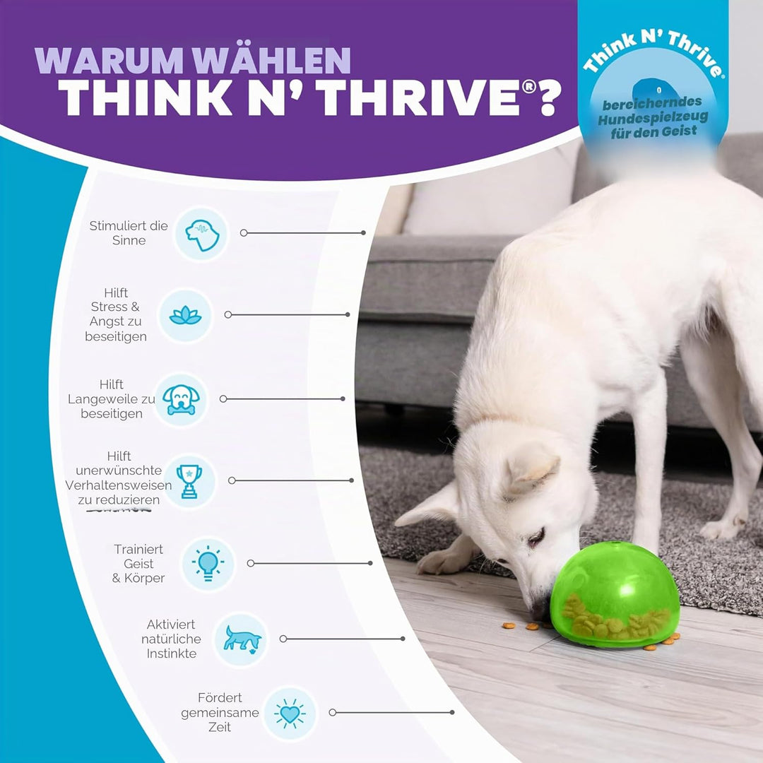 Outward Hound Planet Dog Hunde-Spielzeug, Orbee-Tuff Snoop, interaktives Leckerli verteilendes Spiel