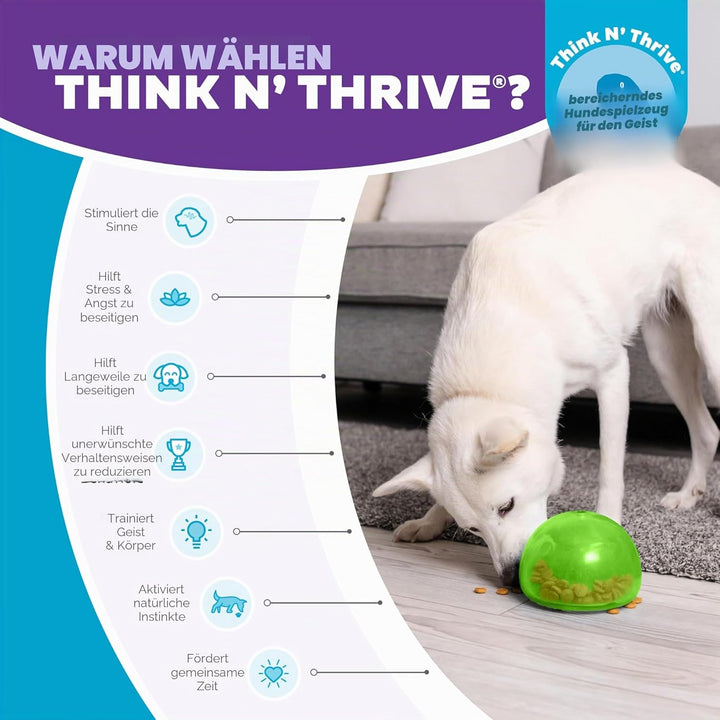 Outward Hound Planet Dog Hunde-Spielzeug, Orbee-Tuff Snoop, interaktives Leckerli verteilendes Spiel