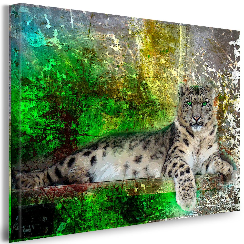 Julia-Art - Bilder Leopard Leinwand mit Keilrahmen 100 x 70 cm Leinwandbild XXL Wandbild Tiere Kunst