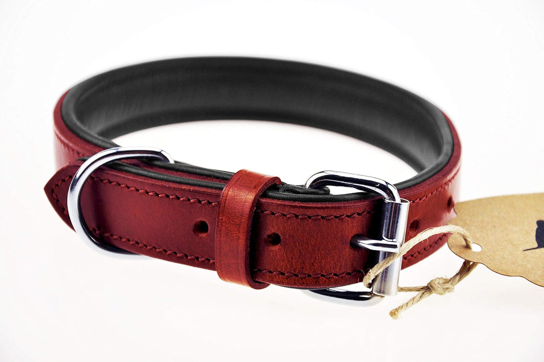 Schnüffelfreunde Halsband für Hunde aus Leder, Hundehalsband für den grossen, mittleren und kleinen