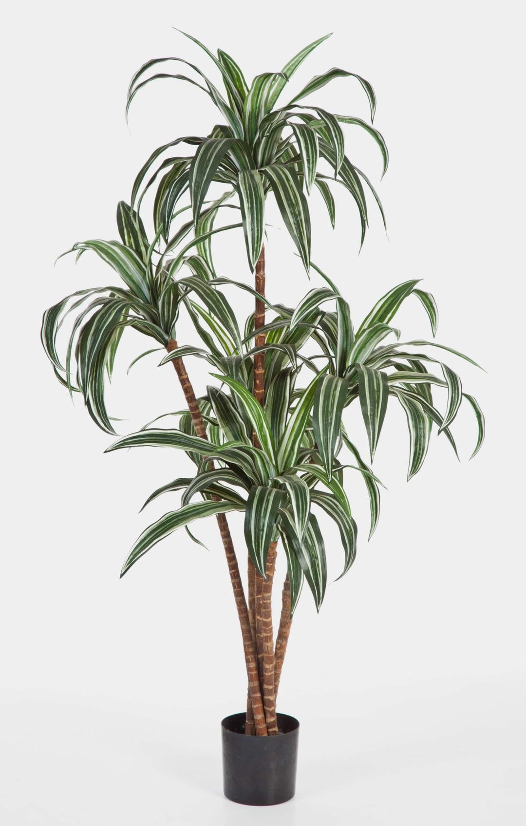 artplants.de Deko Dracaena, 6 stämmig, weiss - grün, 150cm - naturgetreue Kunstpalme - Dracaena küns