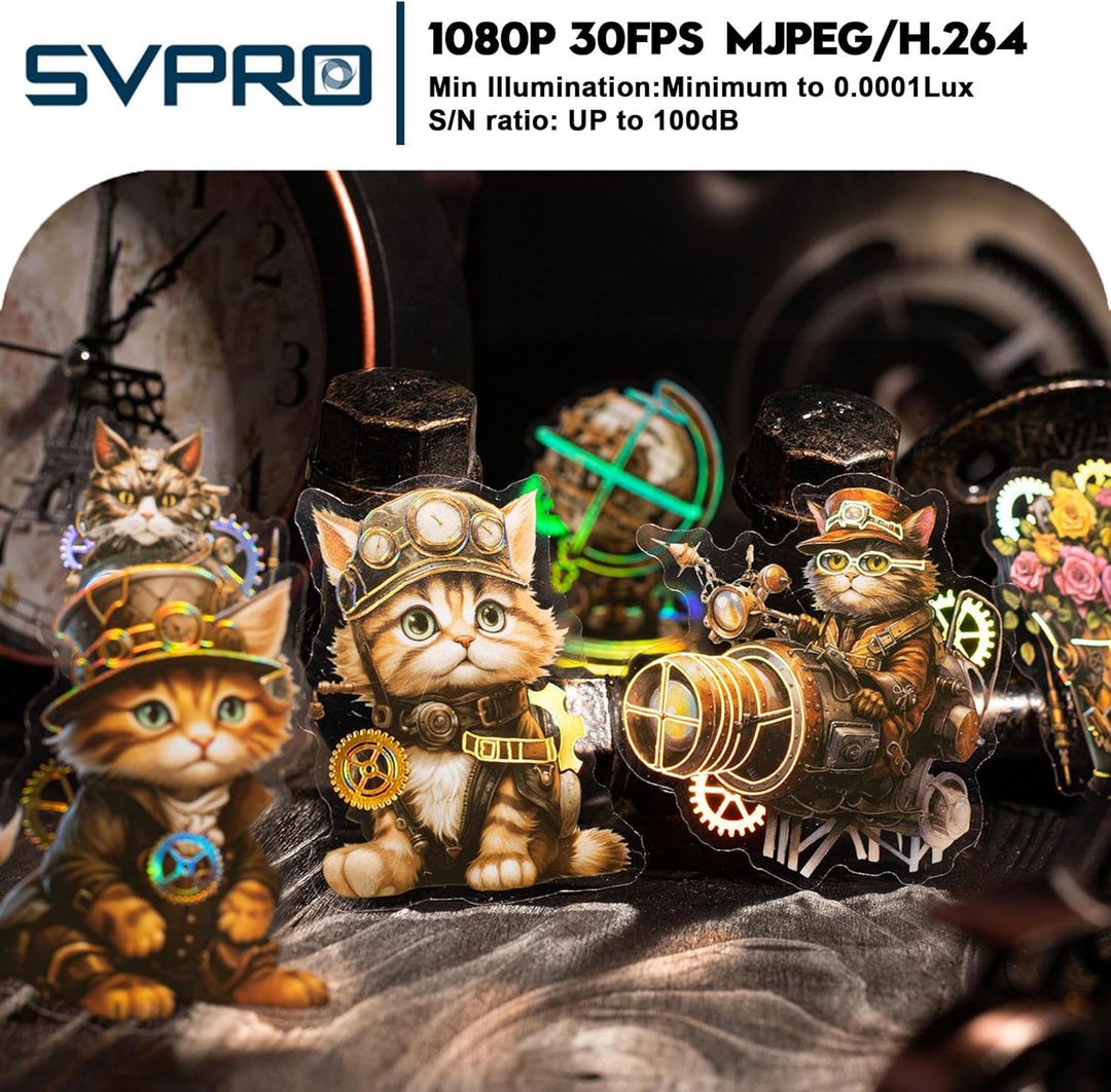 Svpro 1080P Low Light USB-Kameramodul, 0,0001 Lux Starlight-Webcam-Board, M16-Objektiv, F1,0, 110 Gr