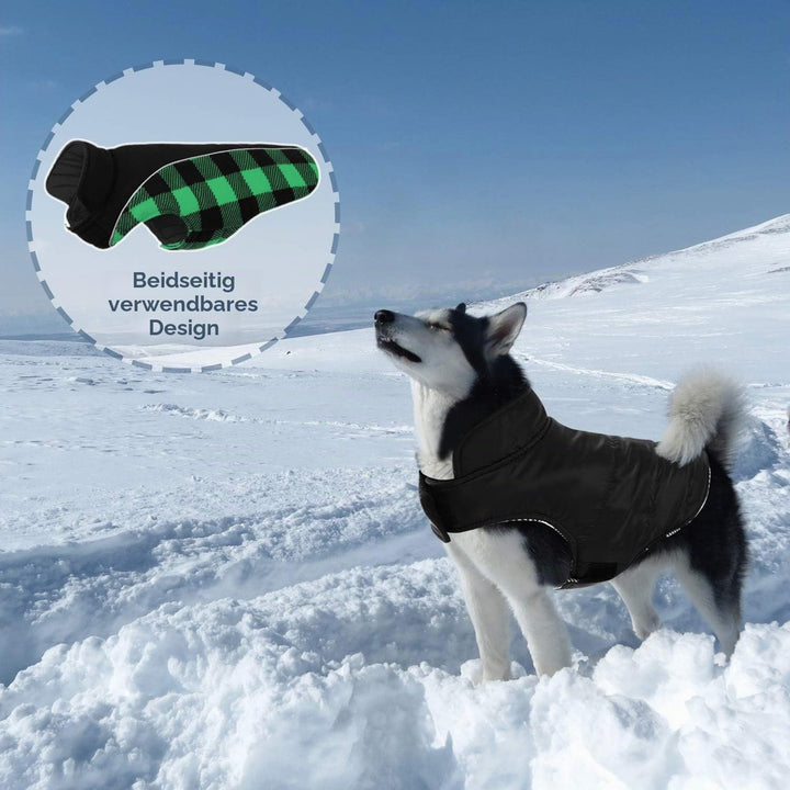 CITÉTOILE Warme Hundemantel Winter mit Bauchschutz Grün S | Wendbare Hundejacke mit Geschirrloch, Wi