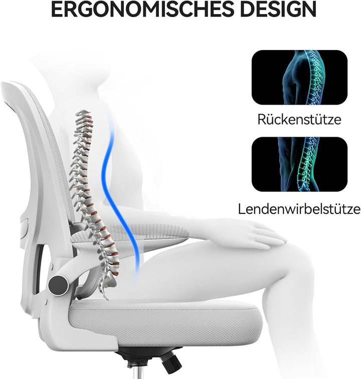 naspaluro Bürostuhl, Ergonomischer Schreibtischstuhl mit Armlehnen, Dynamischer Lordosenstütze, Dreh