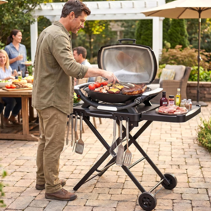 Denmay Grilltischwagen für Weber Q100 Q200 Q300 Serie, Enders Urban, Nexgrill, Ninja Woodfire Grill,