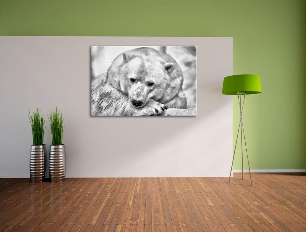 Pixxprint Nachdenklicher Eisbär / 100x70cm Leinwandbild bespannt auf Holzrahmen/Wandbild Kunstdruck