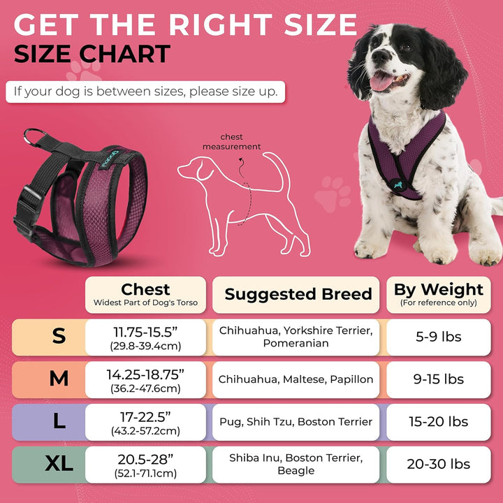 Gooby Comfort X Hundegeschirr zum Ziehen über den Kopf, komfortabel, kein Ziehen, für kleine bis mit