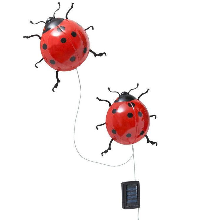 Maximex Solar-Marienkäfer mit LED Beleuchtung, 2er Set, LED-Licht bis zu 8-Stunden, für drinnen und