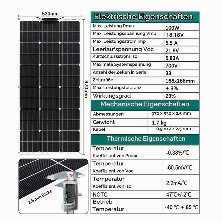 Aysolar 200W 12V Solarpanel Flexibel 2x100W Monokristalline Solarmodul für 12V/24V Batterien Wohnmob