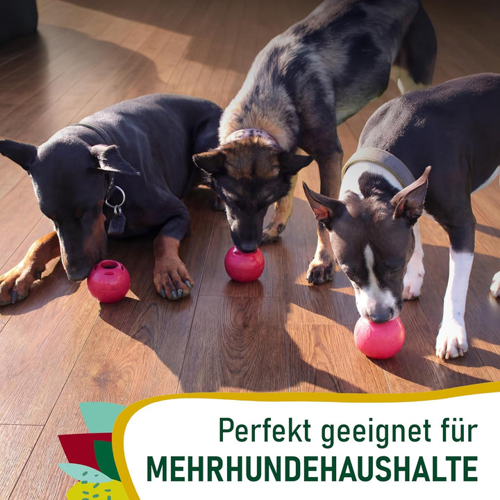 SmoothieDog Schleckball-Set + 4 Schleckbälle Hundesmoothie 6er Mix Klassik (250ml) - Schleckball für