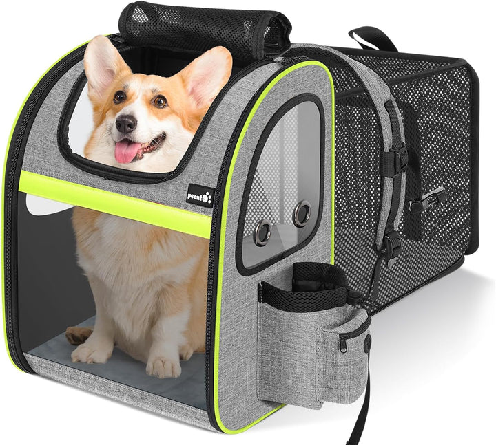 pecute Hunderucksack Erweiterbar, Faltbar Katzenrucksack Katzen mit Anti-offener Reissverschluss, Ru