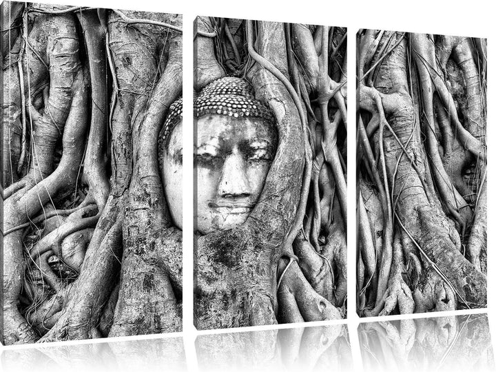 Pixxprint Buddha Kopf im Baum / 3-Teilig/Gesamtmass 120cm Leinwandbild bespannt auf Holzrahmen/Wandb
