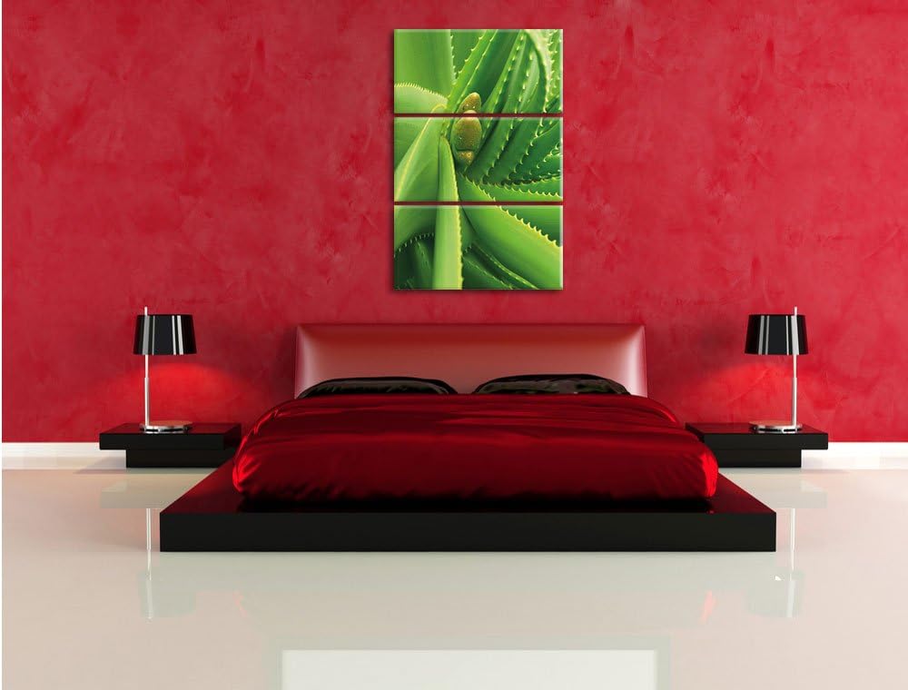 Pixxprint Aloe Vera als Leinwandbild/Grösse: 3 Teilig (120x80) cm/Wandbild/Kunstdruck/fertig bespann