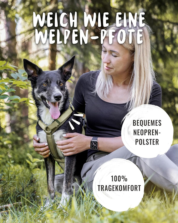 Rudelkönig Hundegeschirr Bella - Gepolstertes Brustgeschirr mit Haltegriff - Hunde Geschirr in Y-Des