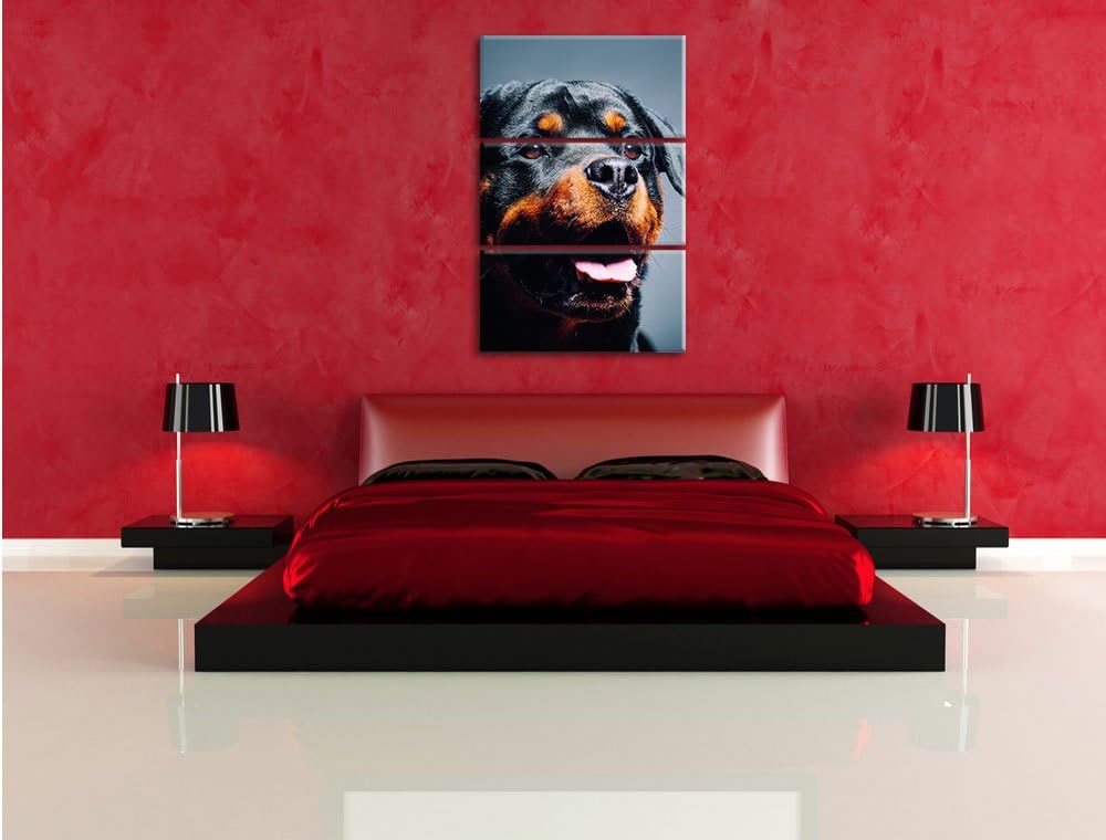 Pixxprint Treuer Rottweiler als Leinwandbild | Grösse: 3 Teilig (120x80) | Wandbild| Kunstdruck | fe