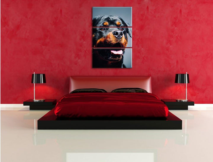 Pixxprint Treuer Rottweiler als Leinwandbild | Grösse: 3 Teilig (120x80) | Wandbild| Kunstdruck | fe