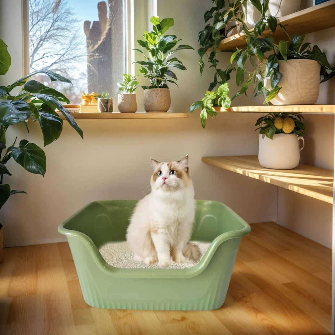 Katzenklo Gross 64x45x33cm, Katzenklo Hoher Rand Ohne Deckel, Katzentoiletten Offen, Spritzwasserges