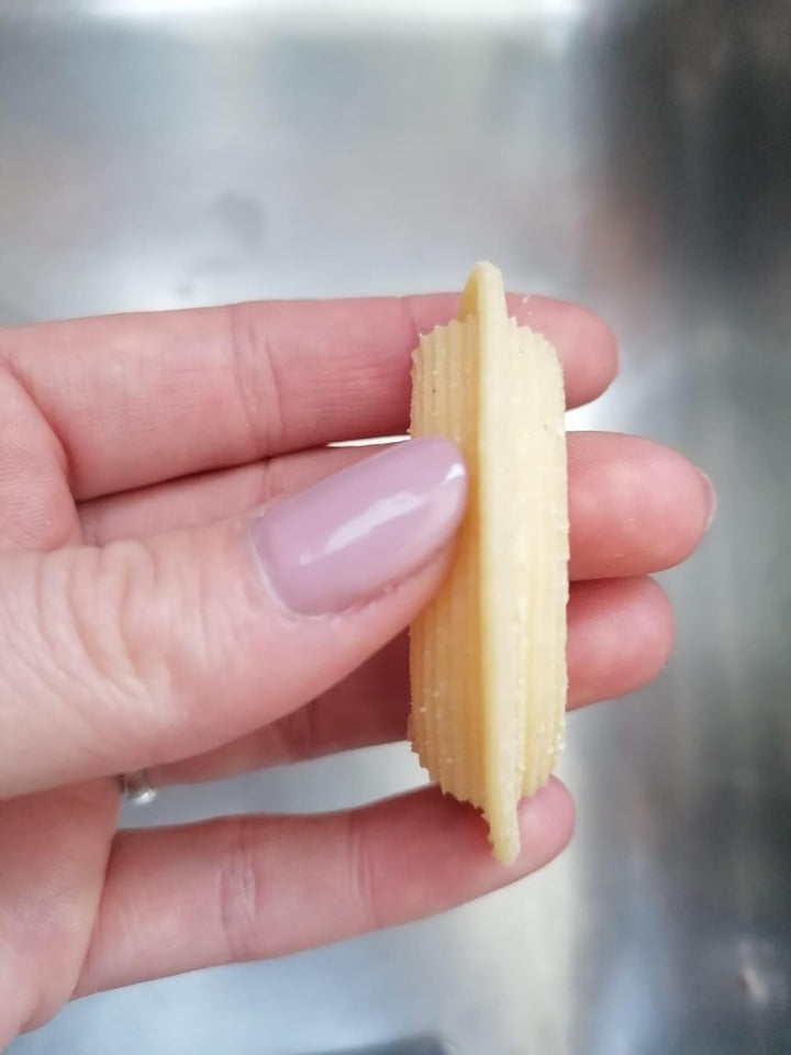 MY Pasta - Creste - Pastadisc | Advance Pasta Matrize für selbstgemachte Nudelmaschine kompatibel mi