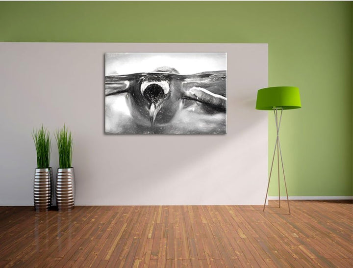Pinguin im Wasser als Leinwandbild/Grösse: 100x70 / Wandbild/Kunstdruck/fertig bespannt, 100x70