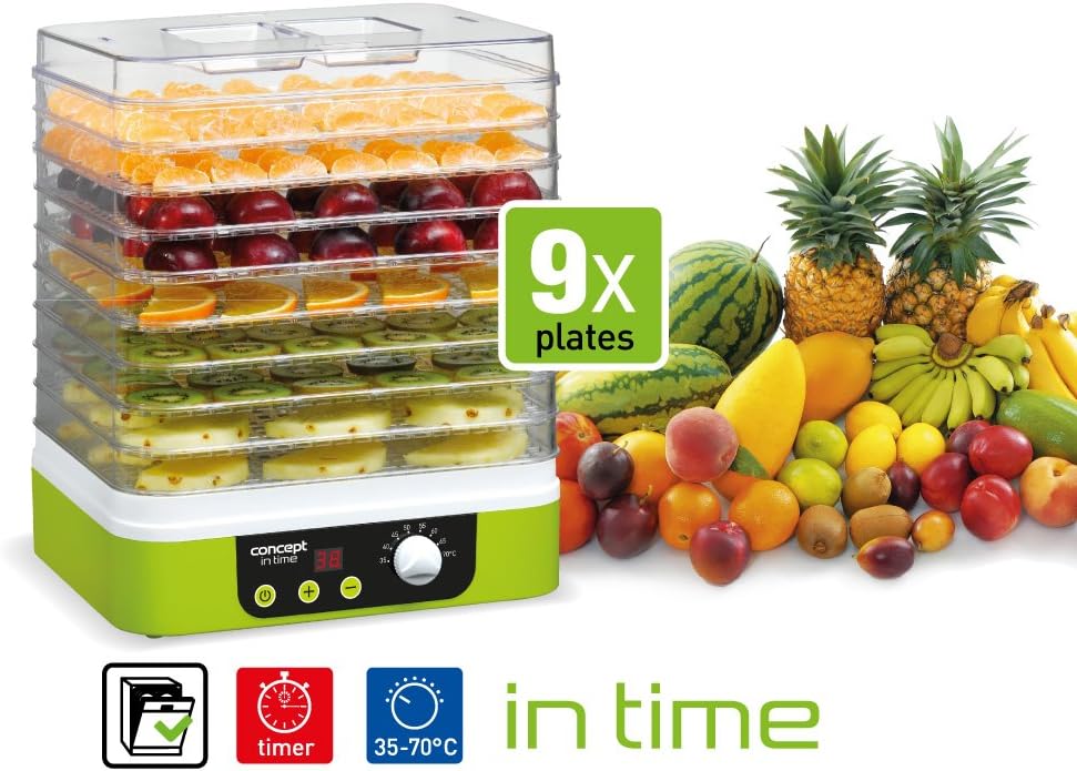 CONCEPT Hausgeräte SO1060 Dörrgerät IN TIME mit Zeitschaltuhr, 9 rechteckige Einlegeböden, grün, Dis