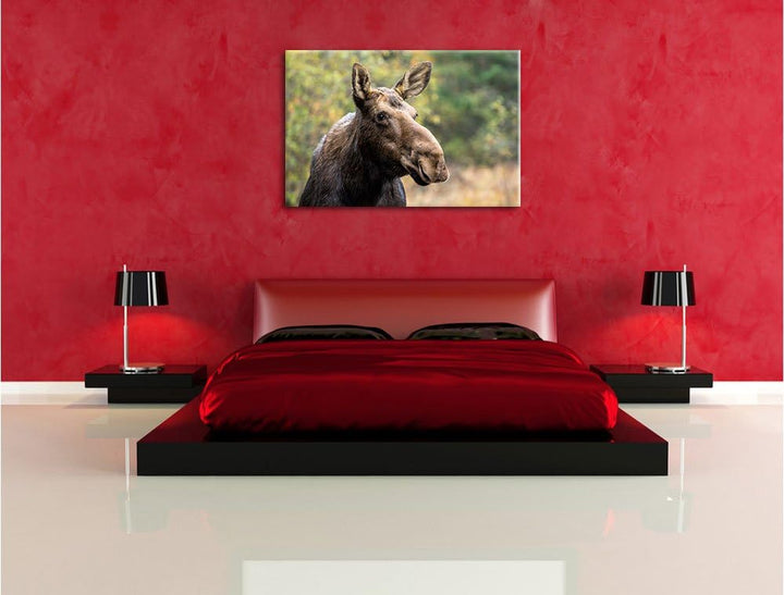 Pixxprint Elch im Wald, Format: 100x70 auf Leinwand, XXL riesige Bilder fertig gerahmt mit Keilrahme