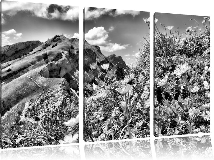 Pixxprint Blumenwiese im Frühling als Leinwandbild/Grösse: 3 Teilig (120x80) / Wandbild/Kunstdruck/f