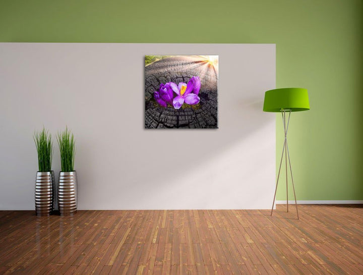 Die Kraft der Natur, Format: 70x70 auf Leinwand, XXL riesige Bilder fertig gerahmt mit Keilrahmen, K