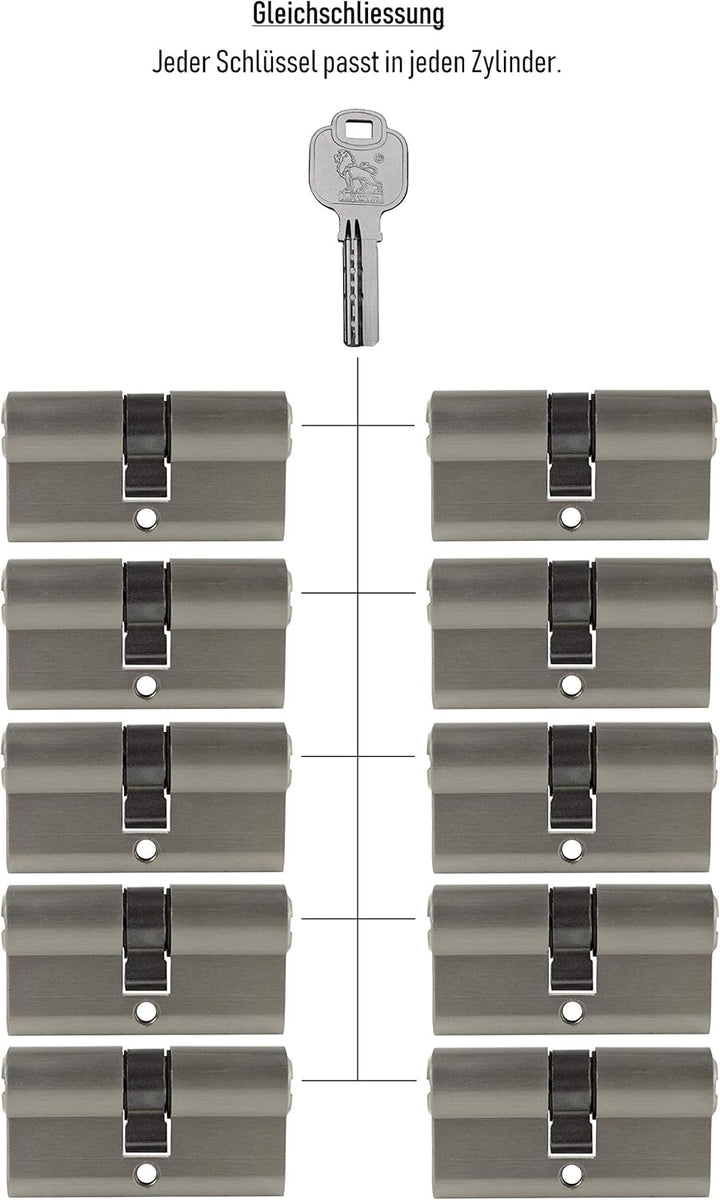 Gleichschliessende Schliesszylinder 80 mm (40/40 mm) inkl. 3 Schlüssel pro Zylinder (Zylinderanzahl