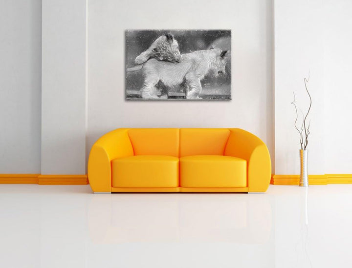 Löwenjunge beim Spielen Deluxe Format: 100x70 cm auf Leinwand, XXL riesige Bilder fertig gerahmt mit