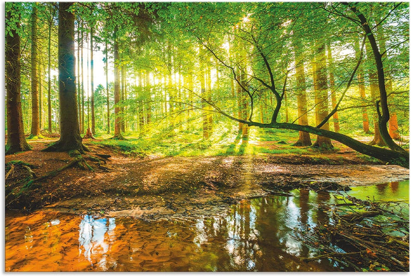 ARTland Spritzschutz Küche aus Alu für Herd Spüle 60x90 cm (BxH) Küchenrückwand mit Motiv Natur Land