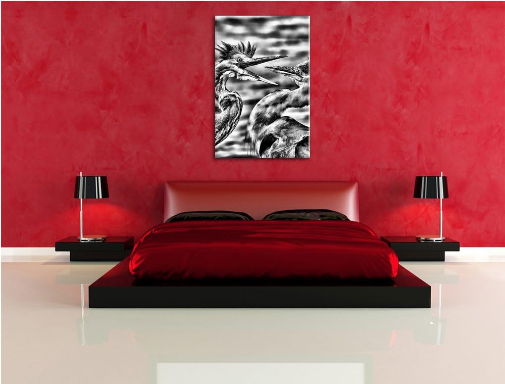 Monocrome, Zankende Vögel, Format: 100x70 auf Leinwand, XXL riesige Bilder fertig gerahmt mit Keilra