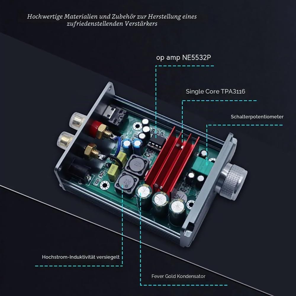 DollaTek 100W Mini Subwoofer Leistungsverstärker TPA3116D2 Audio HiFi Amp Schwarz