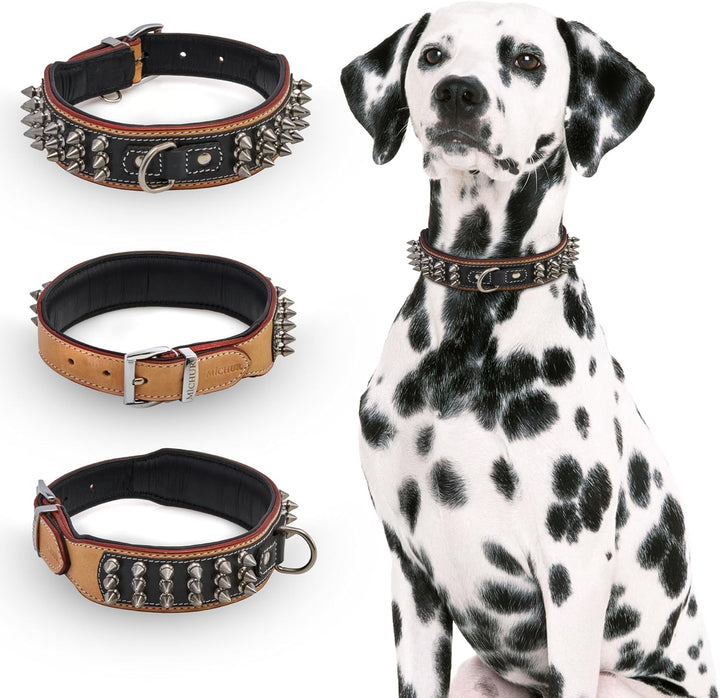 MICHUR Strike NO. 1 Hundehalsband Leder, Halsband, Lederhalsband Hund, Nieten, Halsband Leder MIT Ni