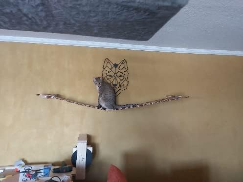 Wandpark für Katzen klein (2Podeste+1Hängebrücke) (Abgeflammt, 150cm) Abgeflammt 150cm, Abgeflammt 1