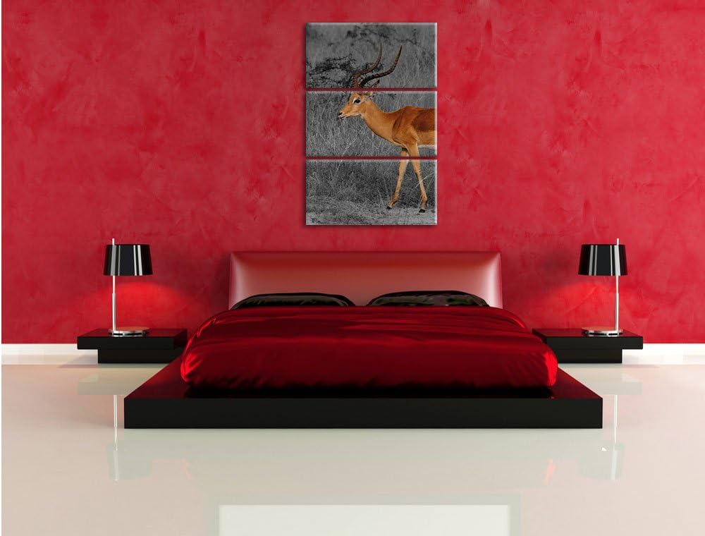 Pixxprint bildschöne Dorkasgazelle in der Savanne schwarz/weiss 3-Teiler Leinwandbild 120x80 Bild au