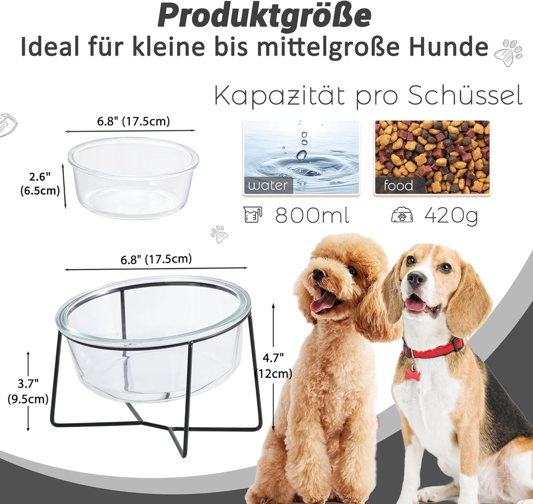 Hundenapf Katzennapf - Futternapf Hund Katze - Futterstation Hund Katzen Erhöht mit Ständer - Fressn