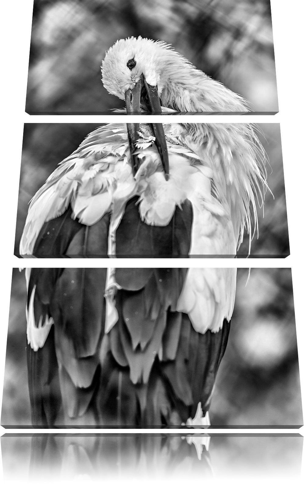 Pixxprint Storch putzt Sich als Leinwandbild/Grösse: 3 Teilig (120x80) cm/Wandbild/Kunstdruck/fertig