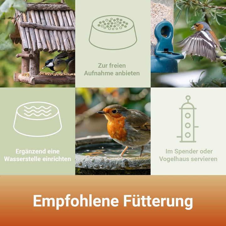 PANTO Sonnenblumenkerne geschält 25 kg – Wildvogelfutter aus reinen, schalenlosen Sonnenblumenkernen