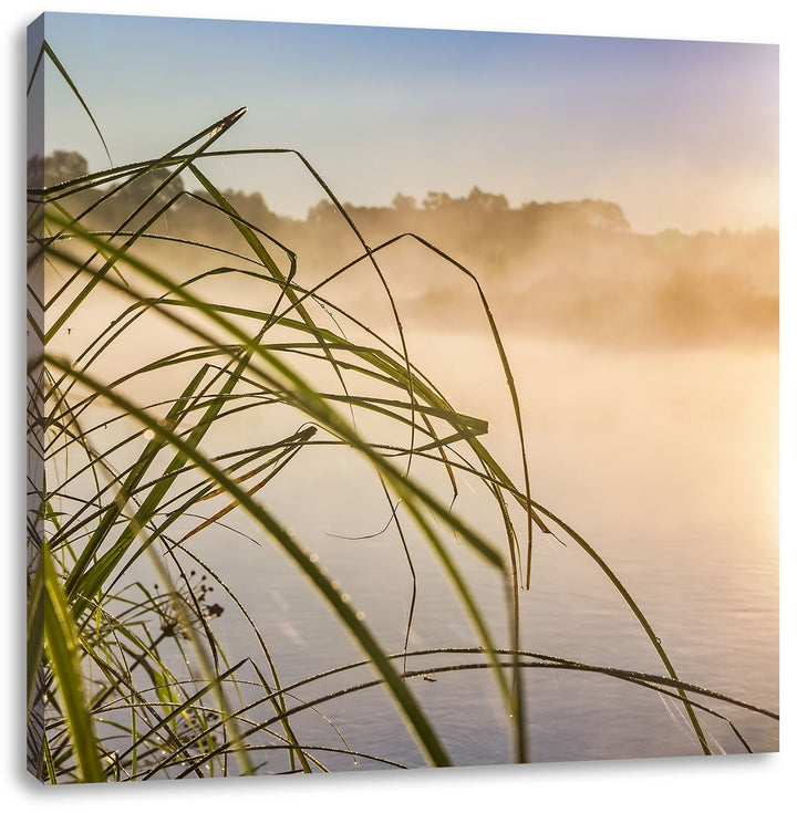 Pixxprint Schilf am See, Format: 70x70 auf Leinwand, XXL riesige Bilder fertig gerahmt mit Keilrahme