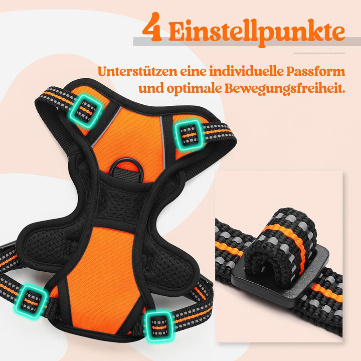 rabbitgoo Hundegeschirr Kleine Hunde, Anti Zug Geschirr mit Kontrolle, No Pull Verstellbar Hundegesc
