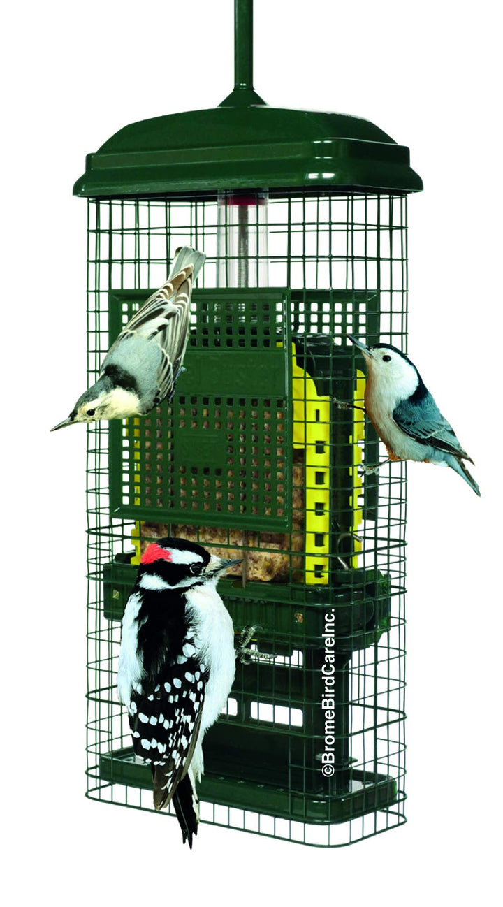 Squirrel Buster Talg Eichhörnchensicher Talg Vogelfutterstation mit Zwei Talgkuchenschalen, Zwei Krü