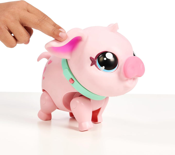 Little Live Pets - My Pet Pig, Soft and Jiggly Interactive Toy Pig That Walks, Dances and Nuzzles. 2