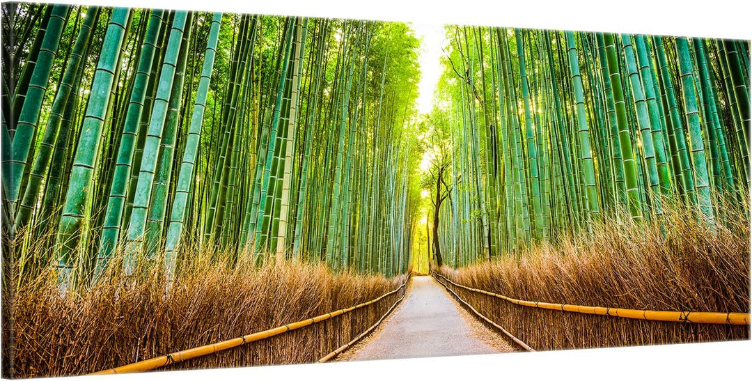 ge Bildet Bild auf Leinwand | Landschaftsbilder - Bambus Wald in Kyoto - Japan J in 100x40 cm als Pa
