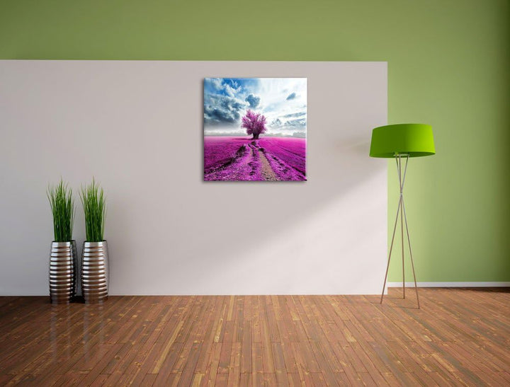 Pixxprint Pinkes Feld mit pinkem Baum / 70x70cm Leinwandbild bespannt auf Holzrahmen/Wandbild Kunstd