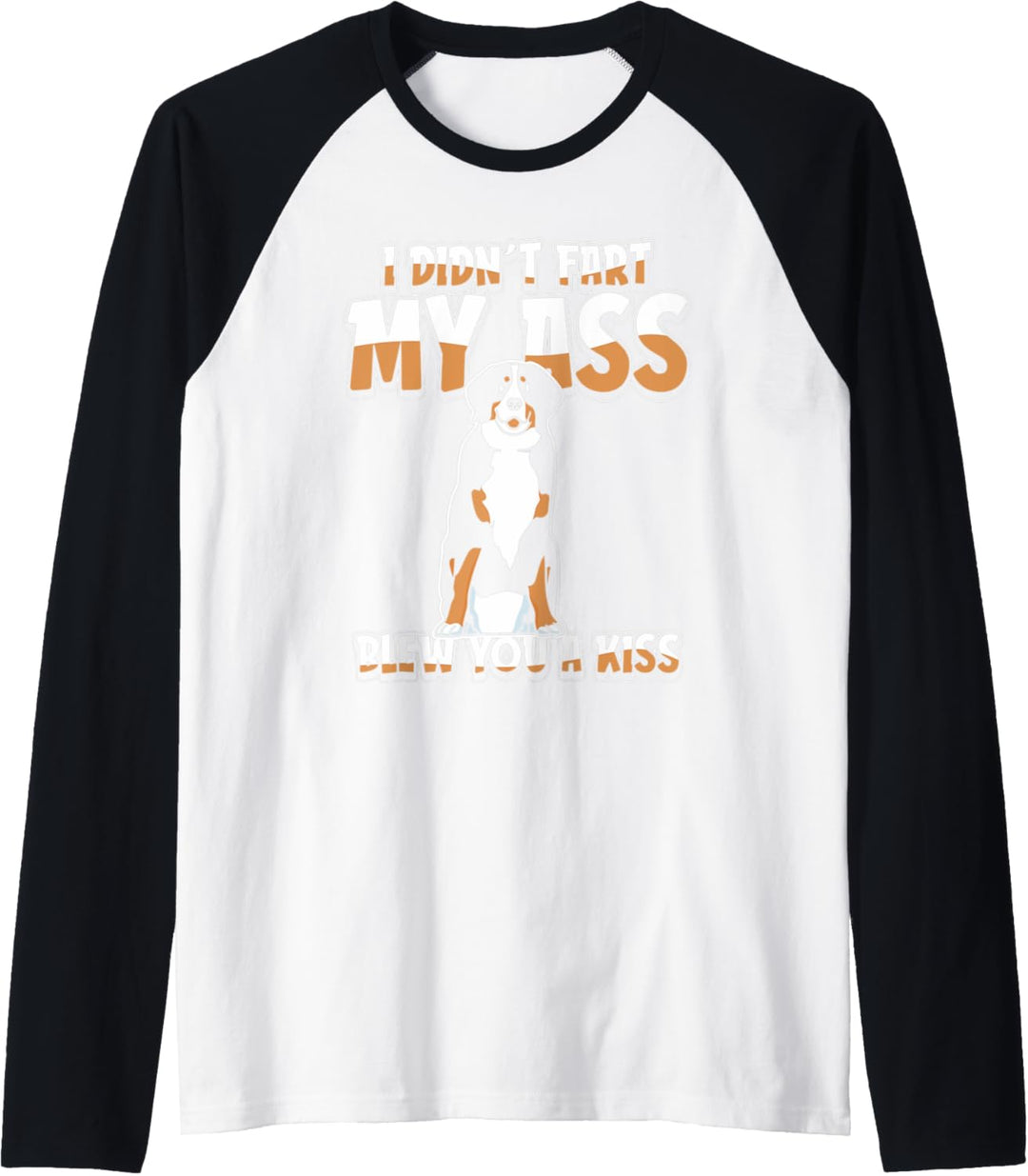 Hunderasse Hund - Vierbeiner Berner Sennenhund Raglan