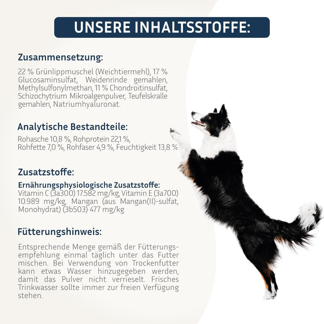 BodyFokus PetFokus Agility Complete – Für gelenkempfindliche Hunde