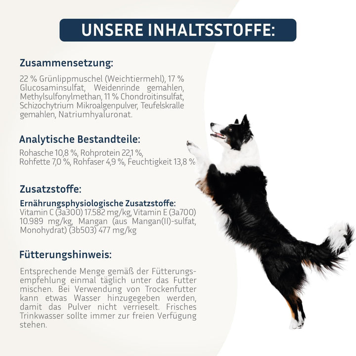 BodyFokus PetFokus Agility Complete – Für gelenkempfindliche Hunde