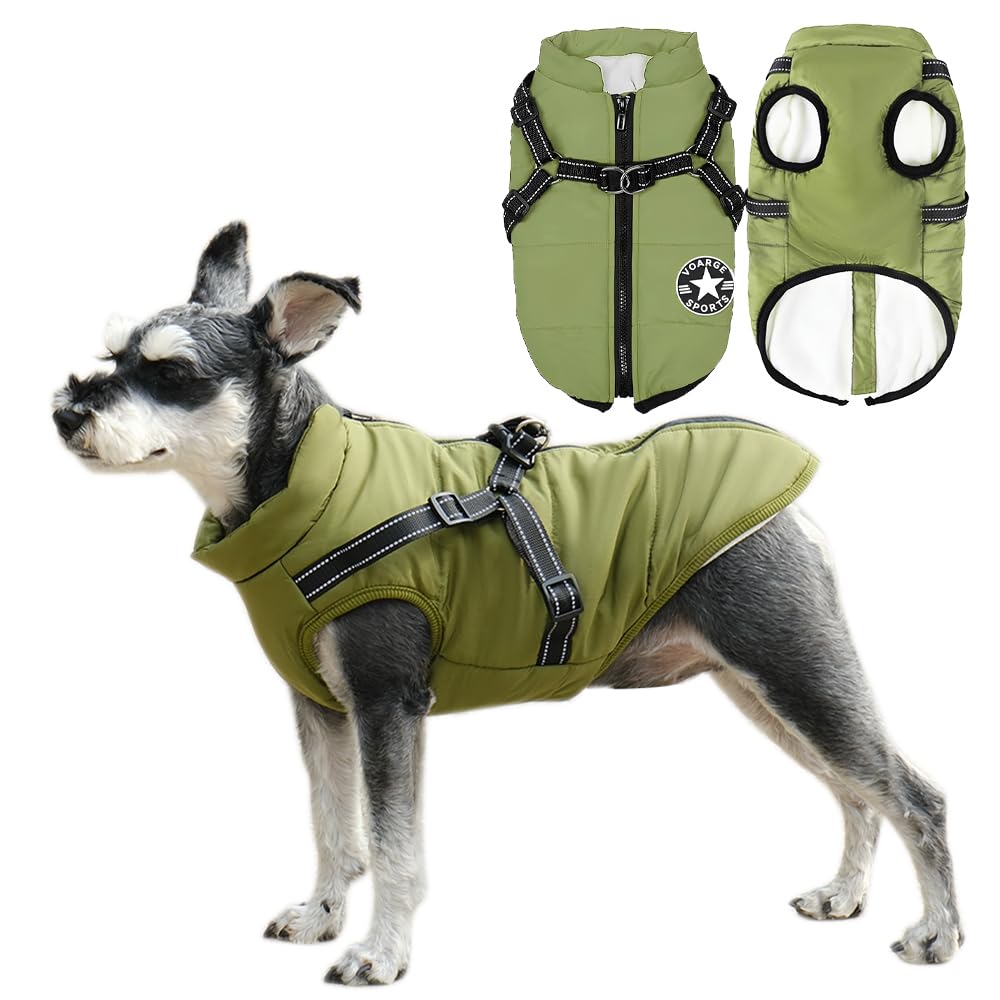 Hundejacke Winterweste Jacken, Hundemantel mit Geschirr für Kleine Hunde Hundemantel Wasserdicht Mas