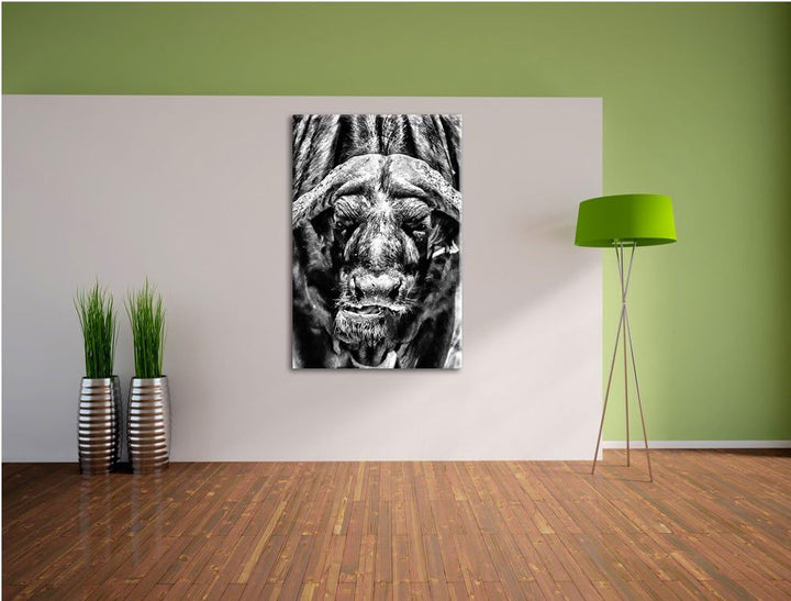 Pixxprint Wasserbüffel Schwarz-Weiss als Leinwandbild/Grösse: 100x70 cm/Wandbild/Kunstdruck/fertig b